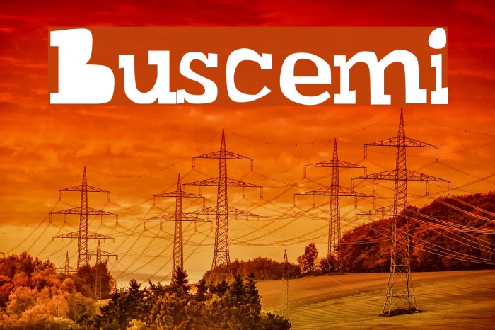 Buscemi Polices examples