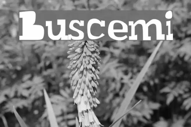 Buscemi Font examples