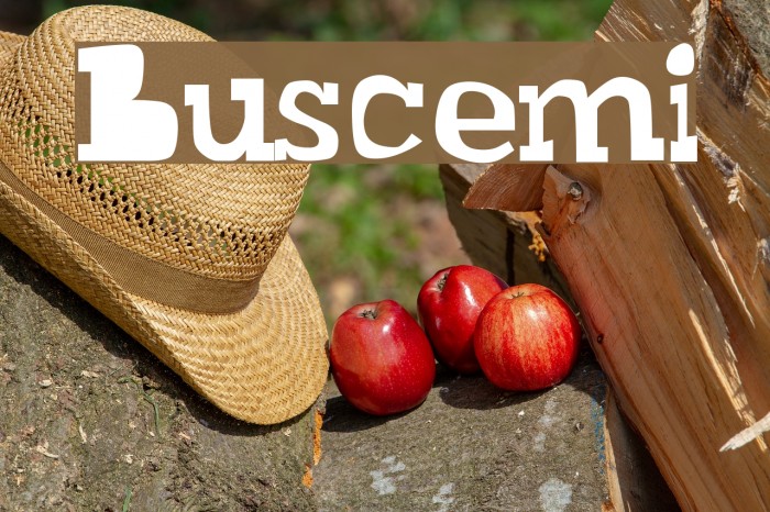 Buscemi Polices examples