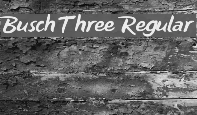 Busch Three Regular Font examples