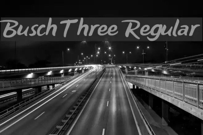 Busch Three Regular Font examples
