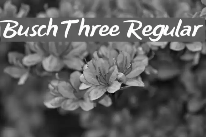 Busch Three Regular Font examples