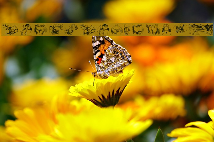 BuschButGerman Example 2