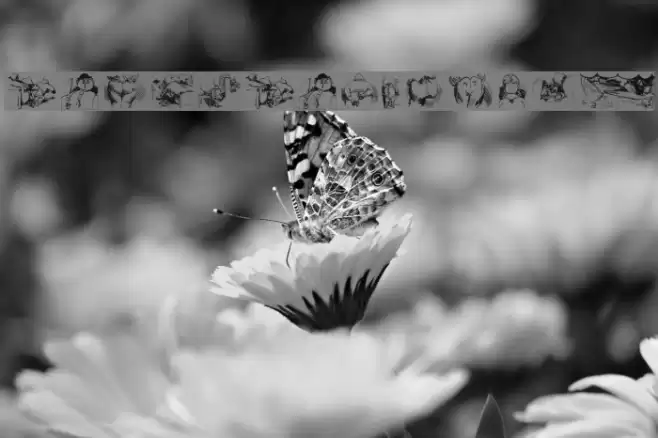 BuschButGerman Font examples