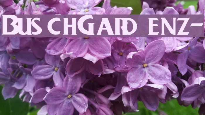 BuschGardenz- Font examples