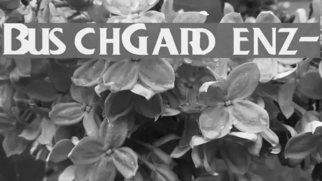 BuschGardenz- Font examples