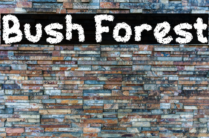 Bush Forest Example 1