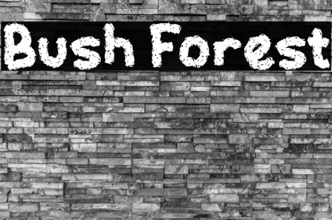 Bush Forest Example 1