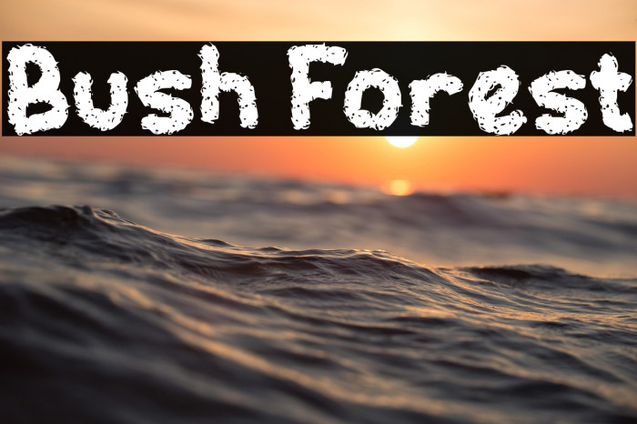 Bush Forest Example 2