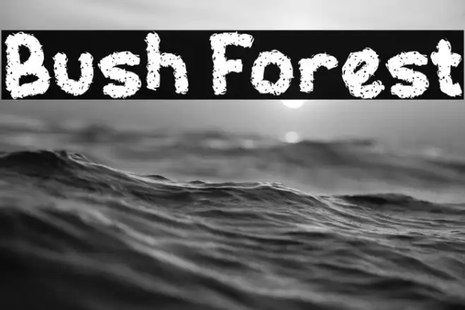 Bush Forest Example 2