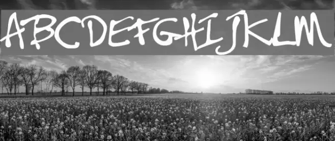 BushToad Font examples