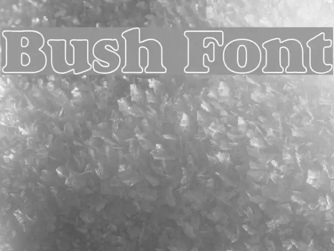 Bush Font examples