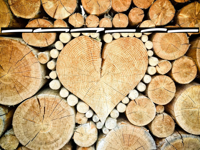 Bushetch Swash Example 1