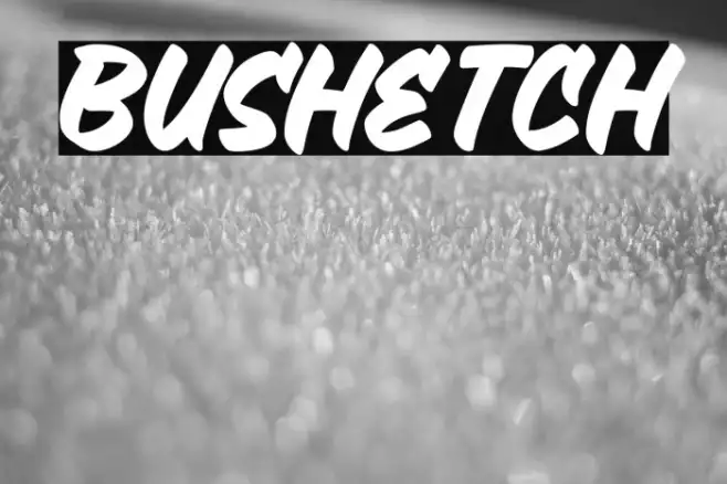 Bushetch Example 1