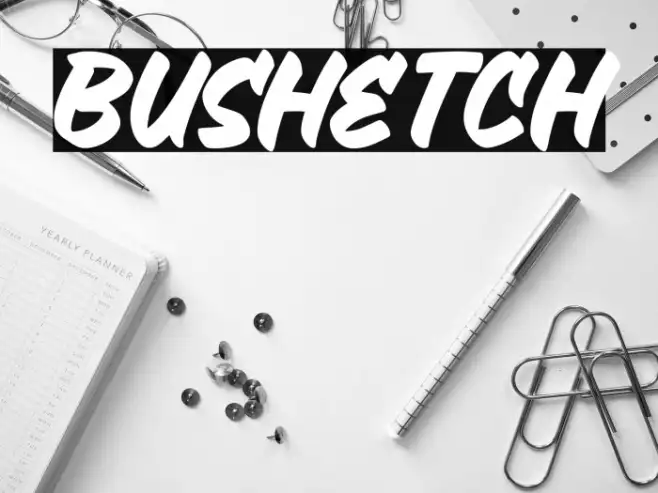 Bushetch Example 3