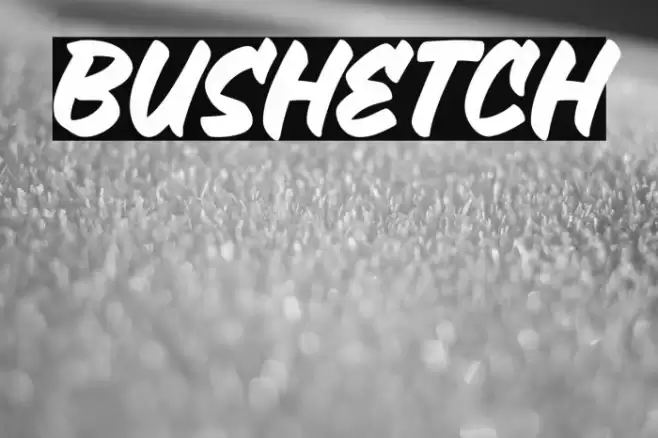 Bushetch Font examples