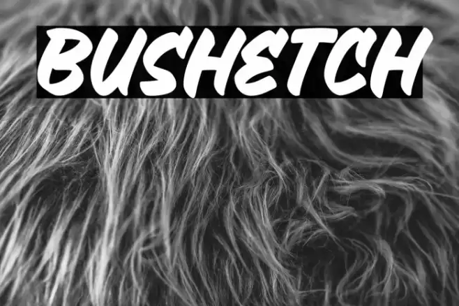 Bushetch Font examples