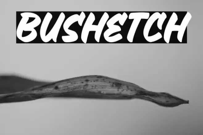 Bushetch Font examples
