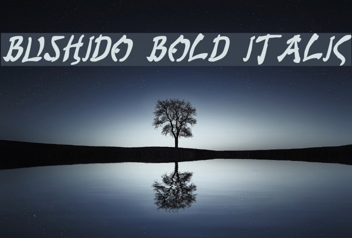 Bushido Bold Italic Polices examples