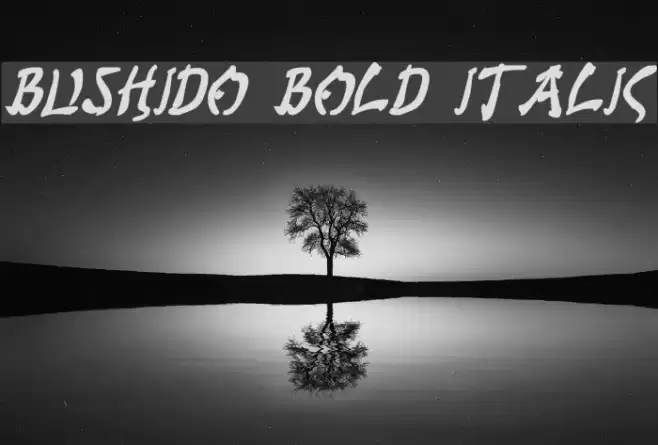 Bushido Bold Italic Font examples