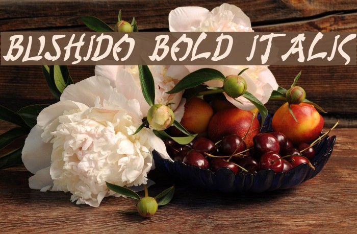 Bushido Bold Italic Polices examples