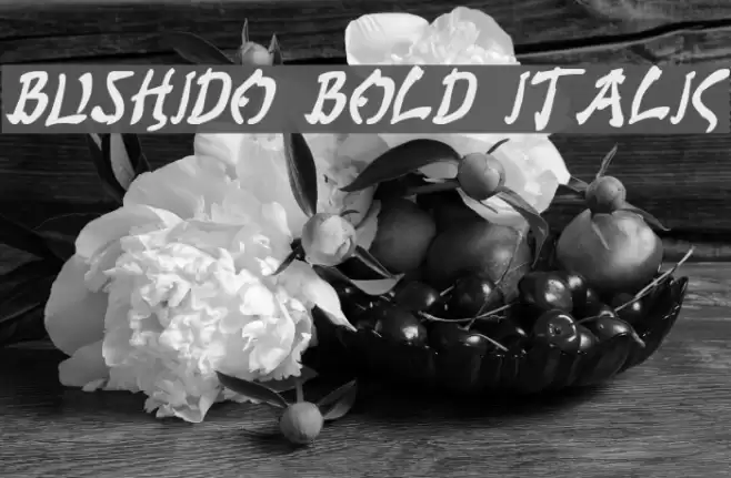 Bushido Bold Italic Font examples