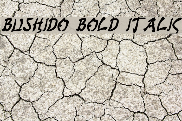Bushido Bold Italic Polices examples