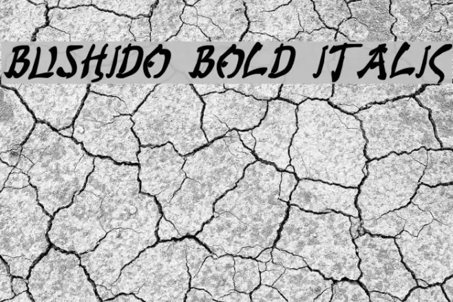 Bushido Bold Italic Font examples