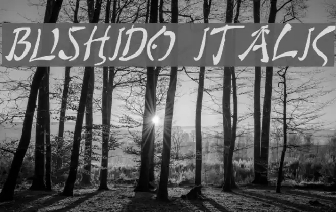 Bushido Italic Font examples