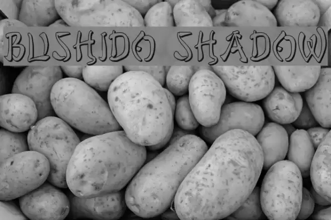Bushido Shadow Font examples