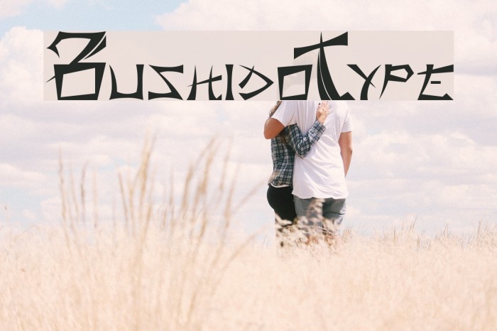 BushidoType Font examples