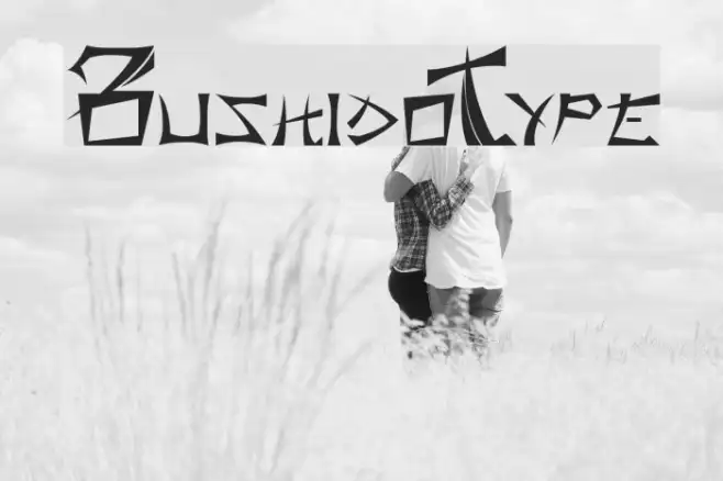 BushidoType Example 1