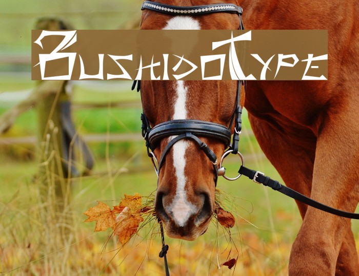 BushidoType Font examples