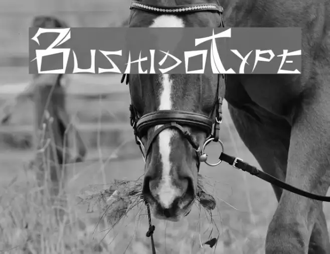 BushidoType Example 2