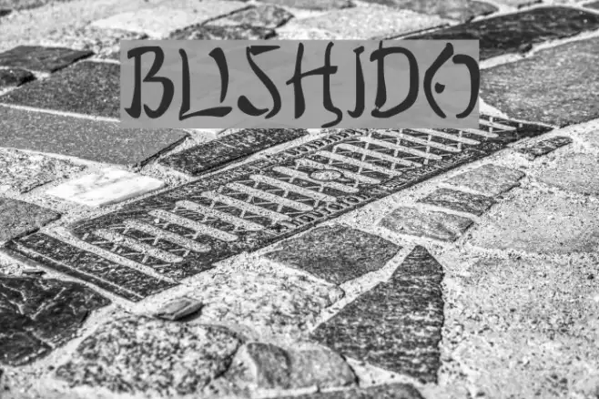 Bushido Example 1