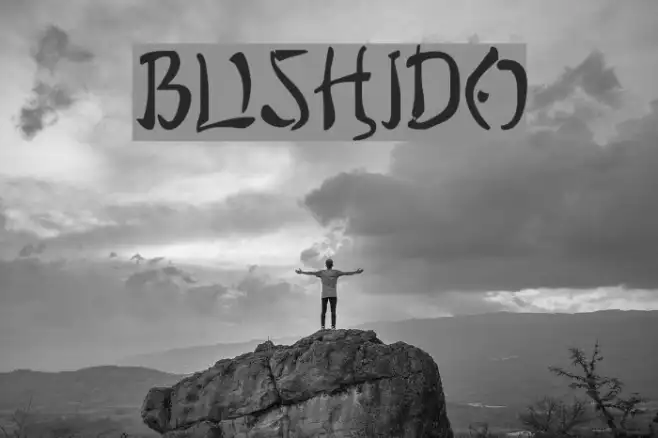 Bushido Example 3
