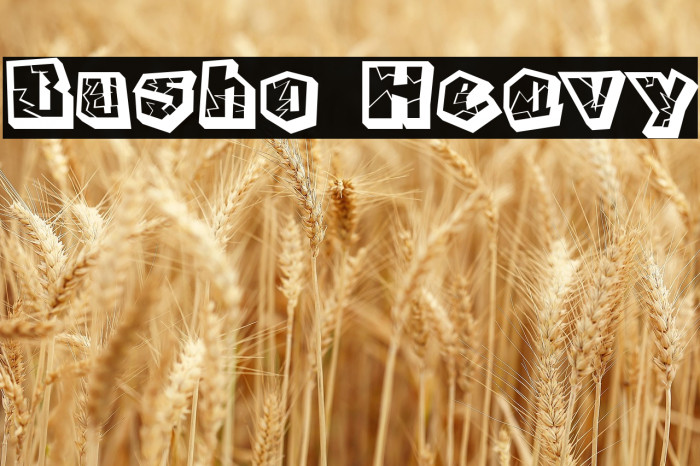 Busho Heavy Example 2