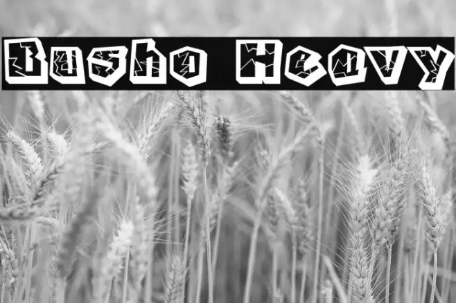 Busho Heavy Example 2