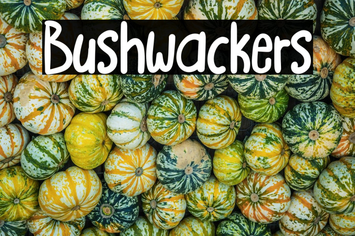 Bushwackers Шрифта examples