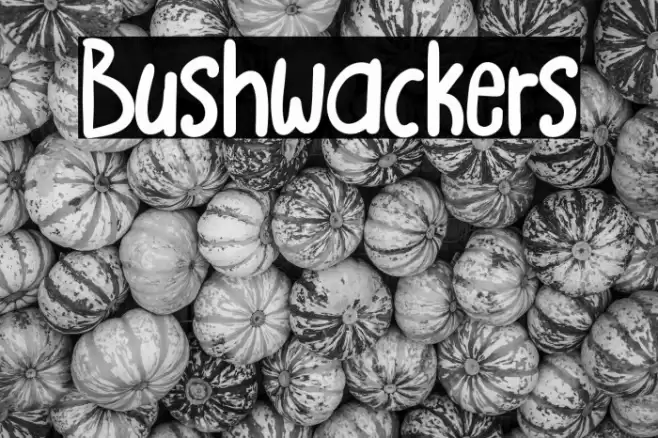 Bushwackers Font examples