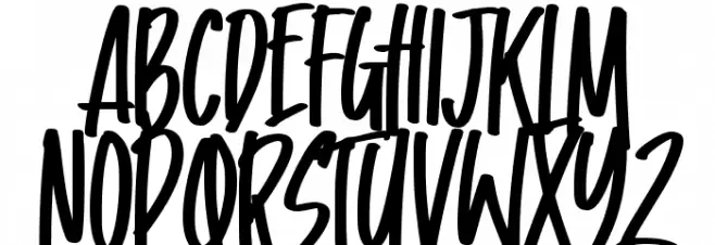 Business Matter 字体 大写