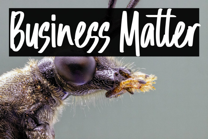 Business Matter Example 1