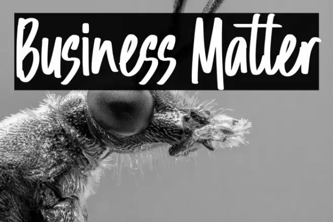 Business Matter 字体 examples