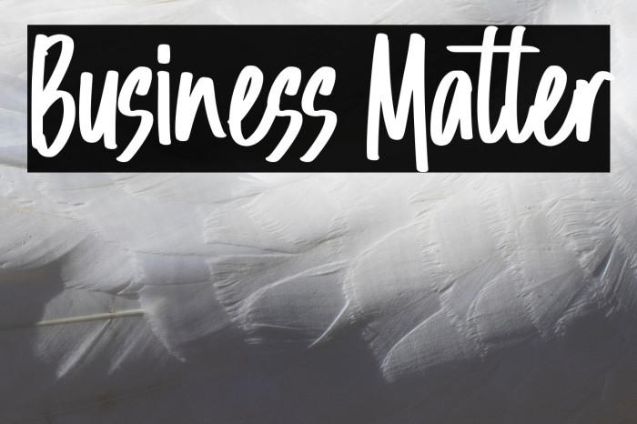 Business Matter Example 2