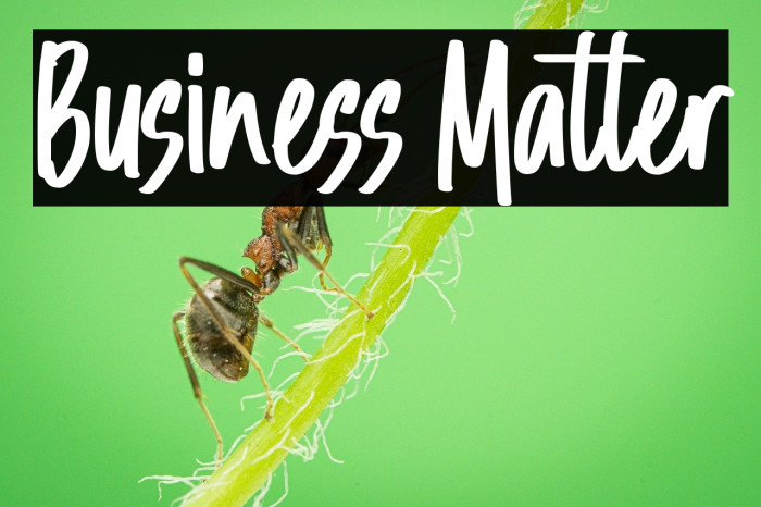 Business Matter Example 3