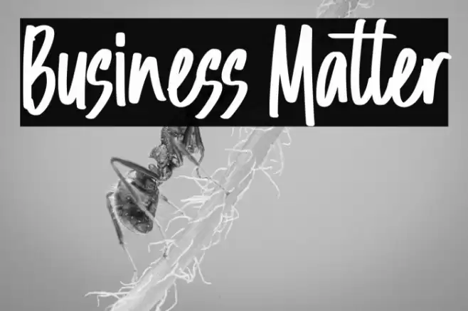 Business Matter 字体 examples