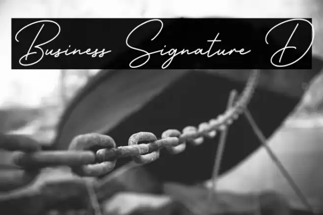 Business Signature D Font examples