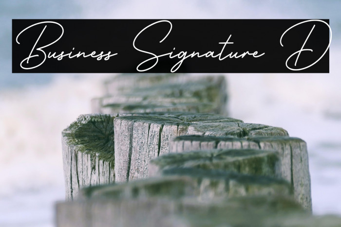 Business Signature D Example 3