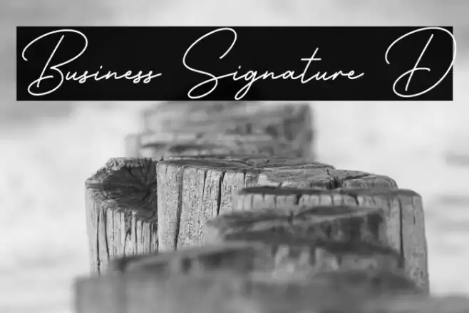 Business Signature D Font examples
