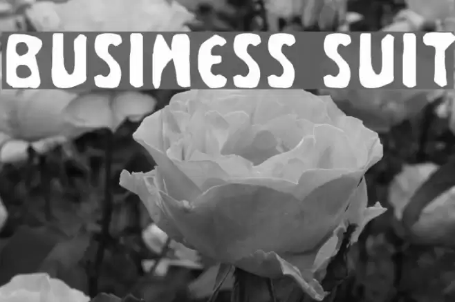 Business Suit Font examples